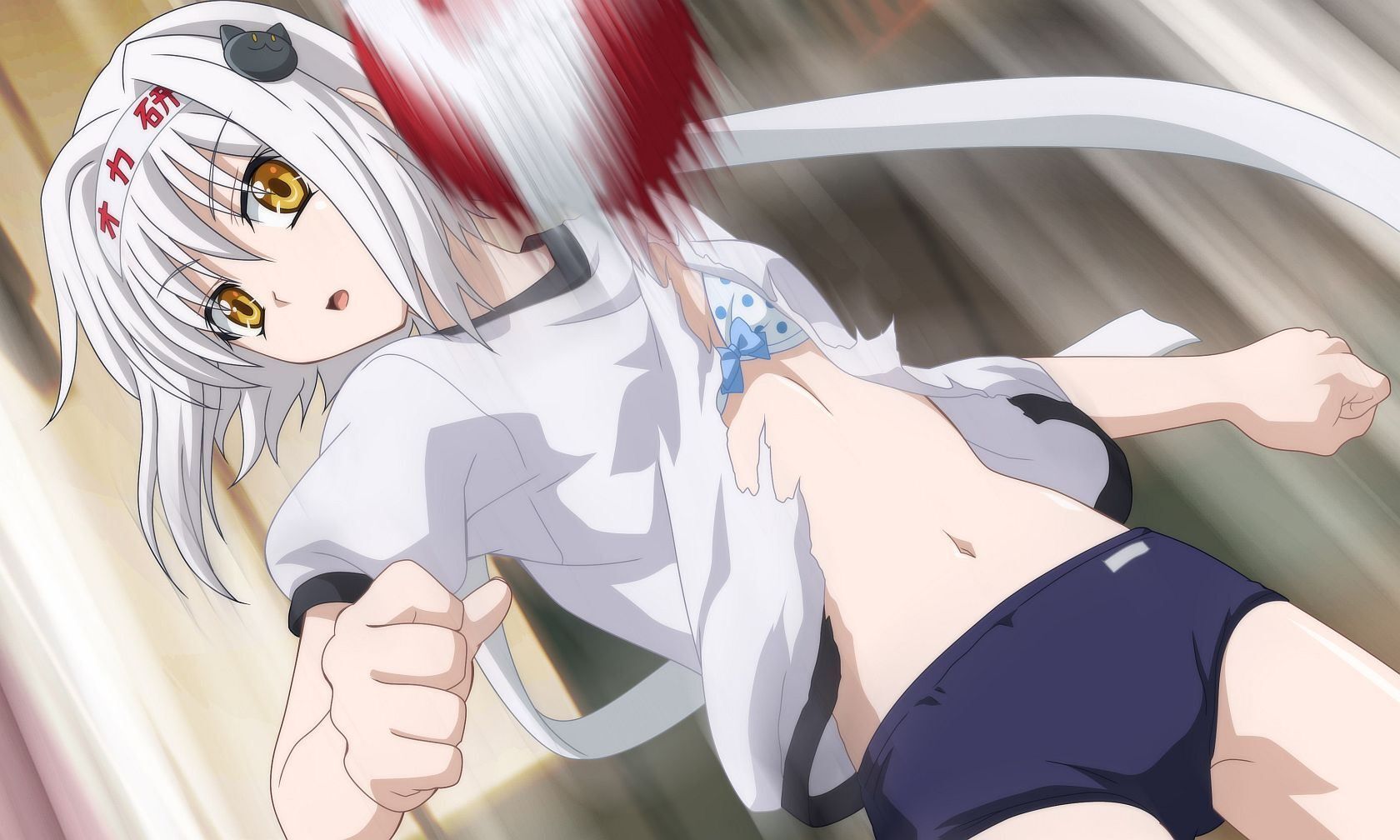 High School Dxd [Limited Edition] - 3ds (Japon) - 5