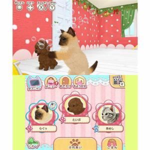 Kawaii Pet To Kurasou! Wan Nyan & Idol Animal - 3ds (Japon) - 2
