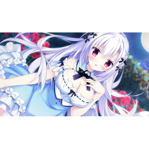 Kemonomichi * Girlish Square - Switch (Japon) - 4
