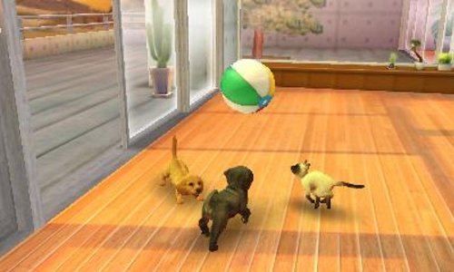 Nintendogs + Cats: French Bulldog & New Friends - 3ds (Japon... - 2