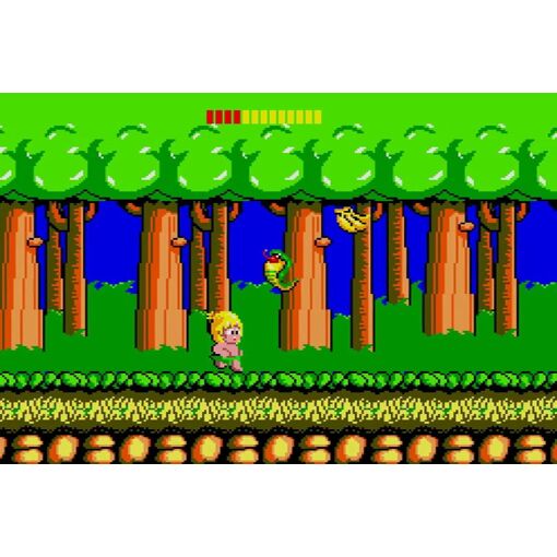 Ultimate Wonder Boy Collection [Special Pack Limited Edition...