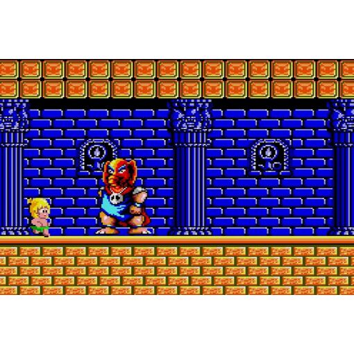 Ultimate Wonder Boy Collection [Special Pack Limited Edition... - 2