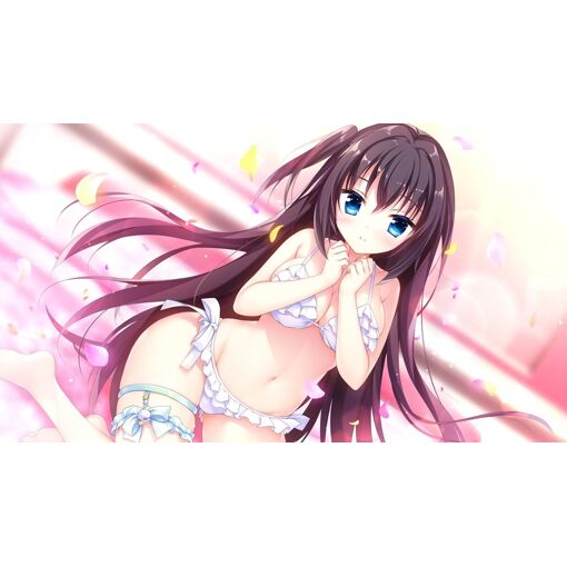 Kemonomichi * Girlish Square [Limited Edition] - Switch (Jap... - 2