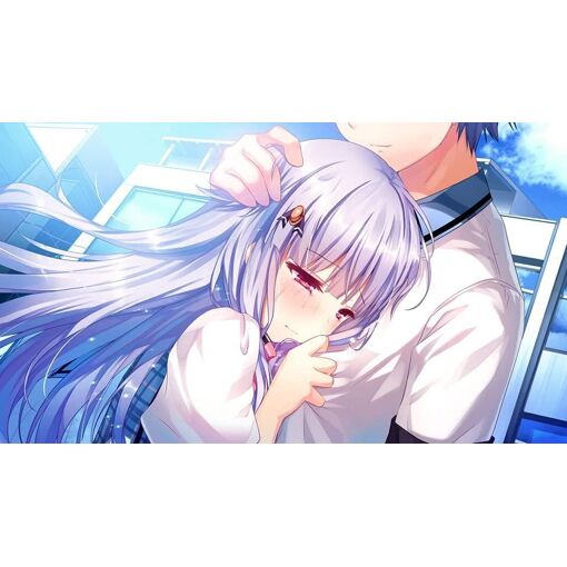 Shirogane X Spirits! [Limited Edition] - Switch (Japon) - 5