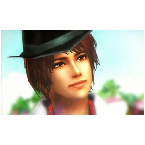 Fabstyle [Premium Box] - 3ds (Japon) - 5
