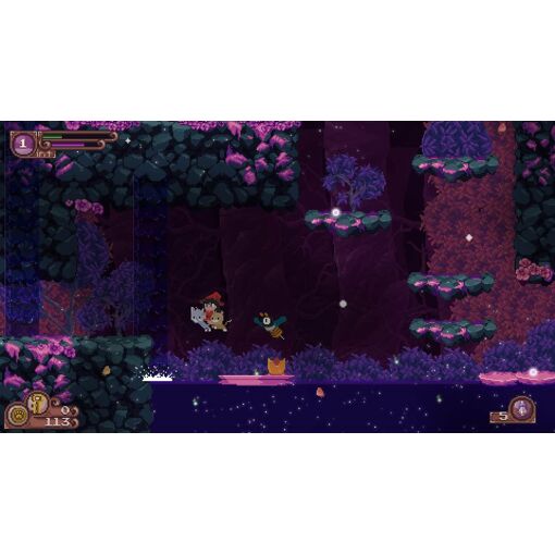 Catmaze Switch