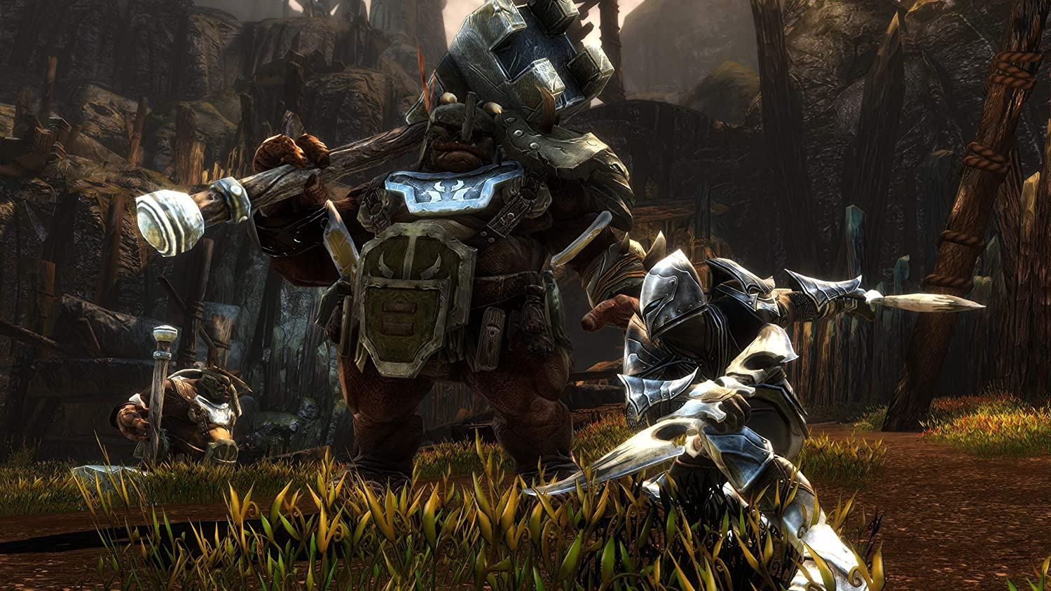 Kingdoms Of Amalur : Re-Reckoning Xbox One - 6