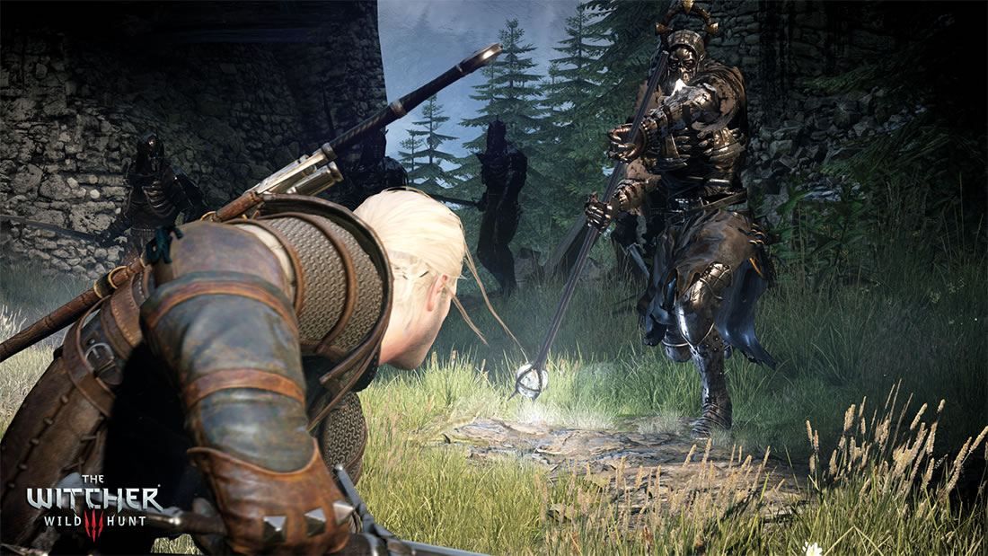 The Witcher 3: Wild Hunt [Complete Edition] [Import Japonais... - 6