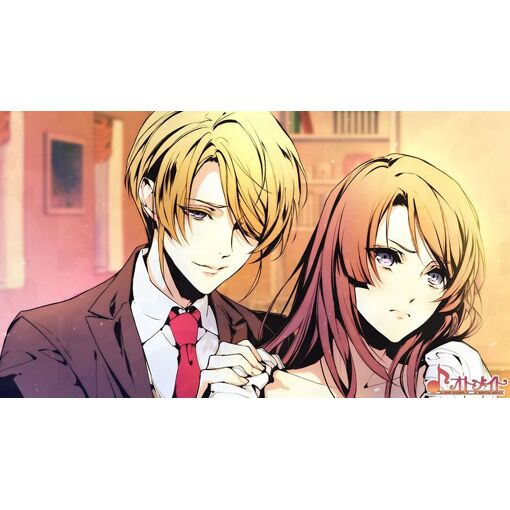 Variable Barricade Ns [Import Japonais] Switch - 5