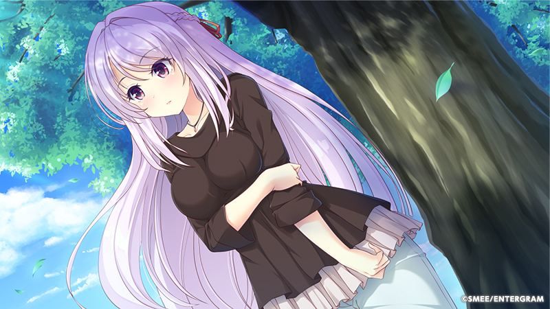 Sugar Style [Import Japonais] Switch - 4