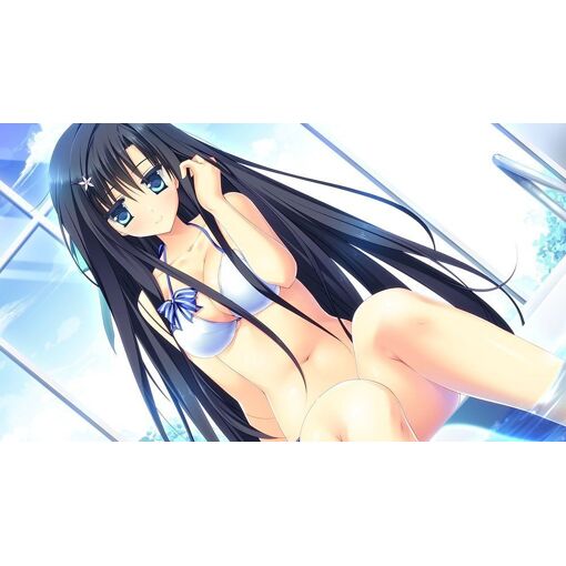 Priministar [Limited Edition] - Ps4 (Japon) - 2
