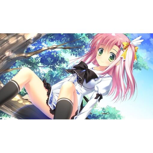 Priministar [Limited Edition] - Ps4 (Japon) - 5