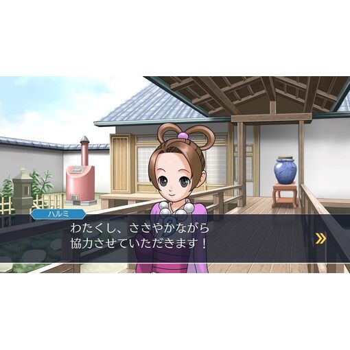Phoenix Wright: Ace Attorney Trilogy (Multi-Language) [Impor... - 2
