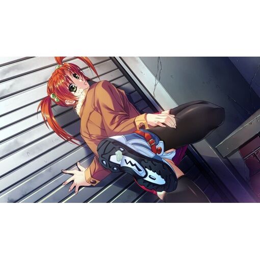 Doukoku Soshite... [Import Japonais] Ps4