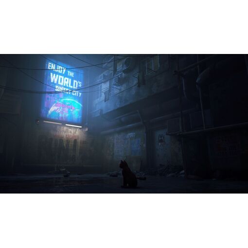 Stray ( Import) Ps4 - 3