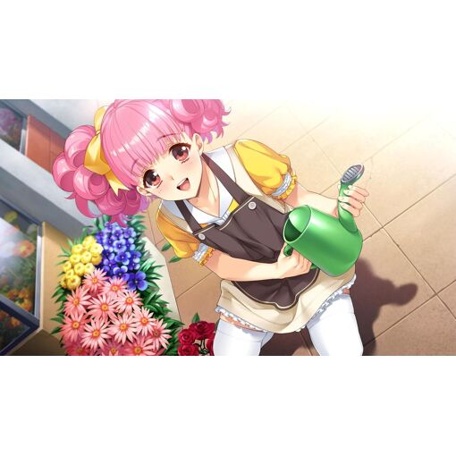Dokyusei: Bangin' Summer Csver [Limited Edition] - Ps4 (Japo...