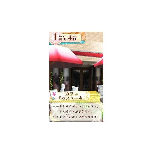 Nicola Kanshuu: Model * Oshare Audition Platinum - 3ds (Japo... - 2