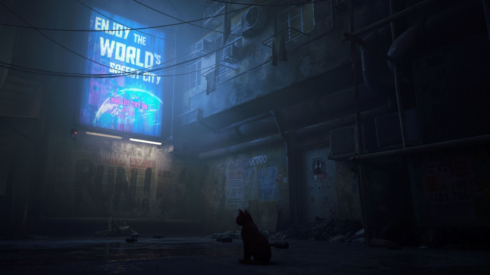 Stray ( Import) Ps5 - 3