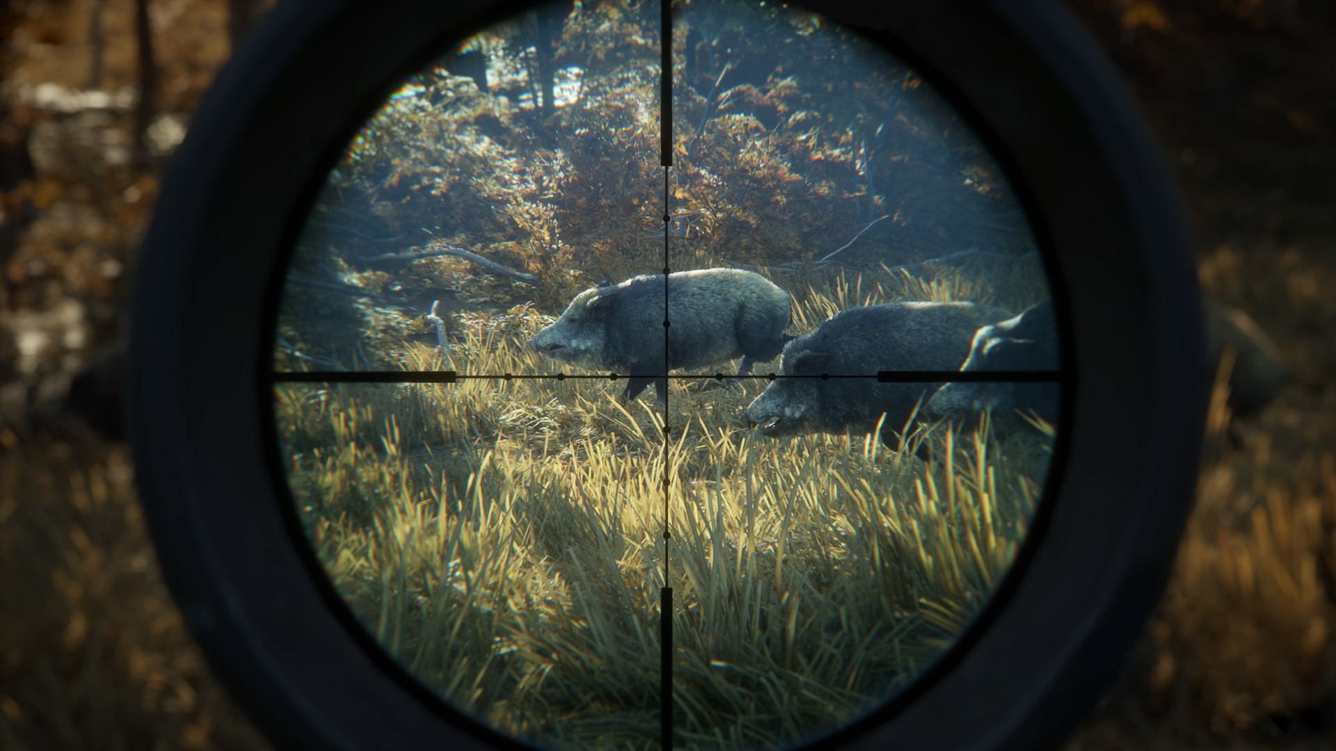 The Hunter : Call Of Th Wild 2019 - Game Of The Year Xbox On...