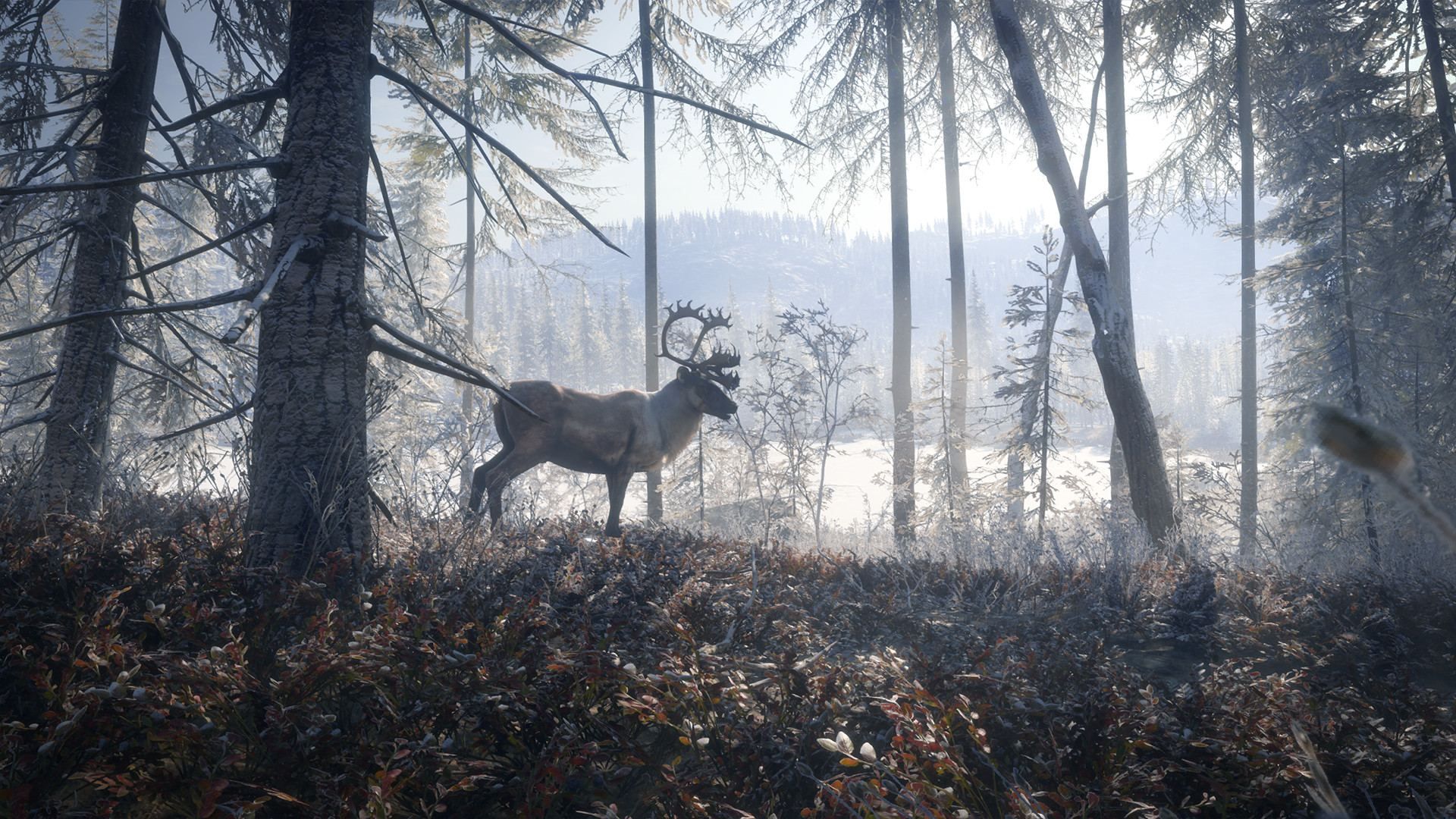 The Hunter : Call Of Th Wild 2019 - Game Of The Year Xbox On... - 2