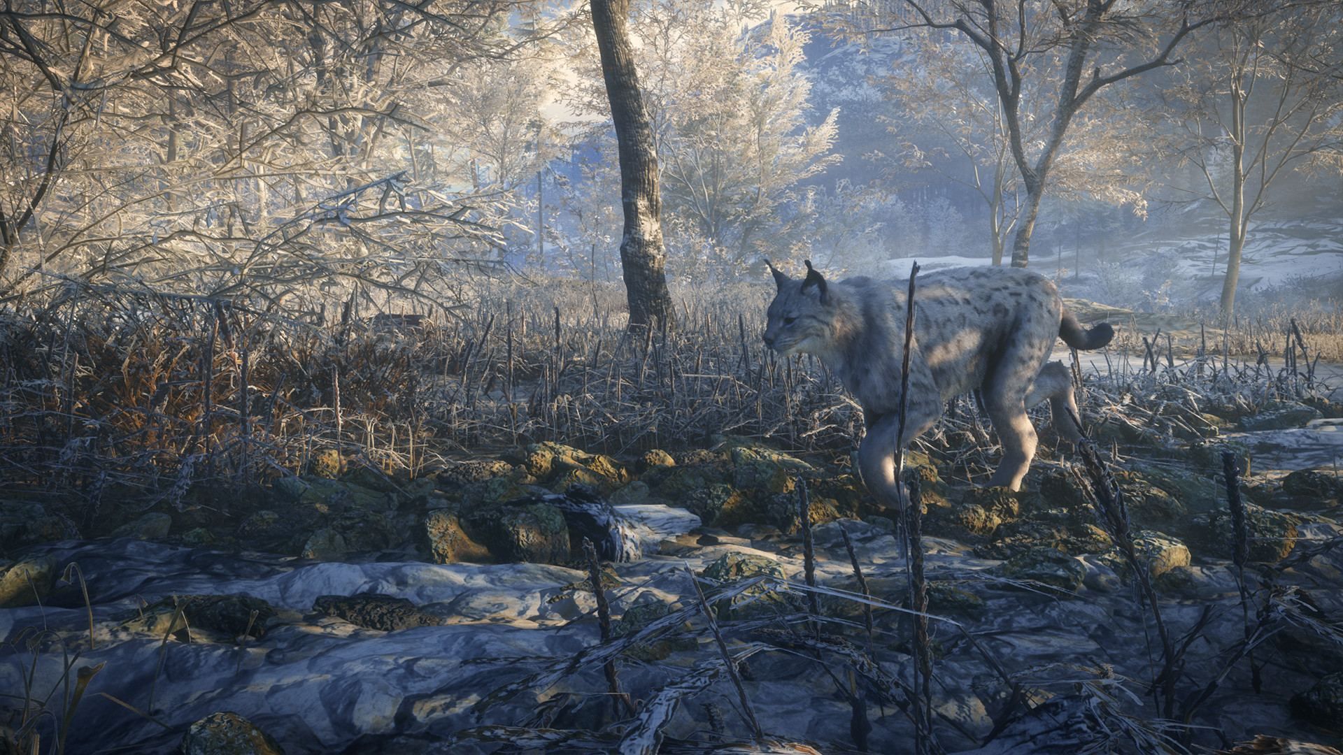 The Hunter : Call Of Th Wild 2019 - Game Of The Year Xbox On... - 3