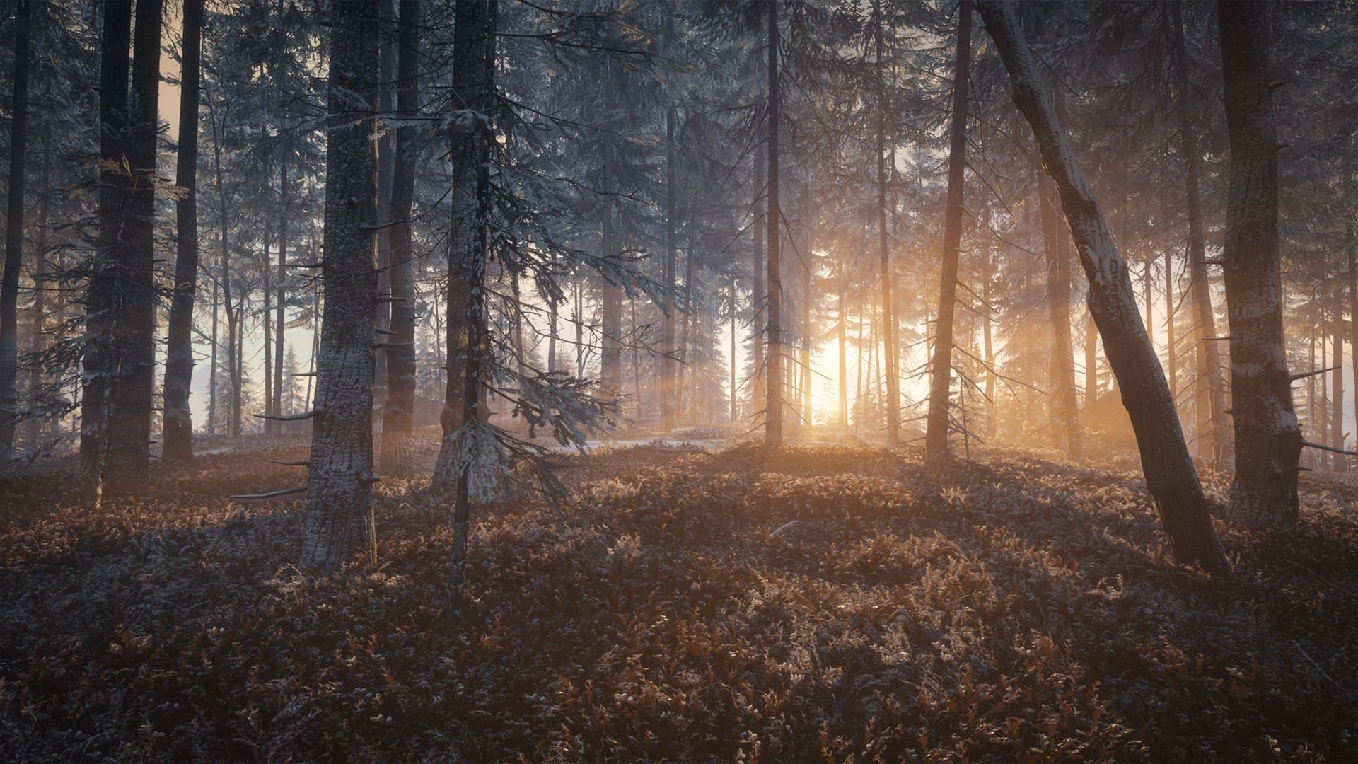 The Hunter : Call Of Th Wild 2019 - Game Of The Year Xbox On... - 4