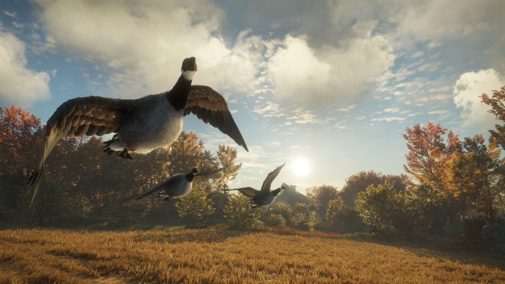 The Hunter : Call Of Th Wild 2019 - Game Of The Year Xbox On... - 5