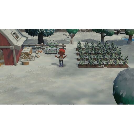 Hokko Life - Ps4 - 4