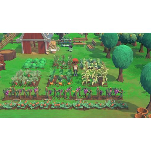 Hokko Life - Ps4 - 7