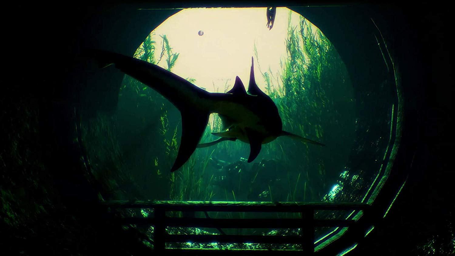 Maneater - Ps4 - 2