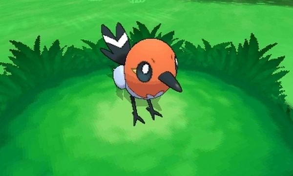 Pok?Mon 3ds - 2