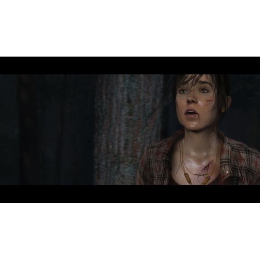 Heavy Rain And Beyond: Two Souls Collection - Ps4