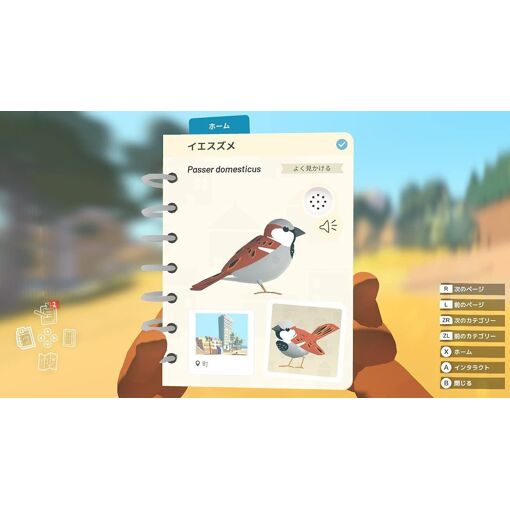 Alba: A Wildlife Adventure (English) - Switch (Japon)