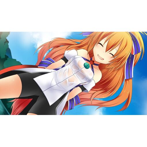Sengoku Hime 5: Senka Tatsu Haou No Keifu [Limited Edition] ... - 7