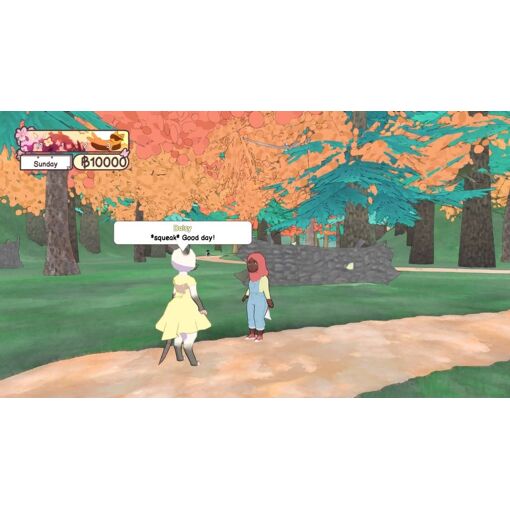 Calico Nintendo Switch - 3