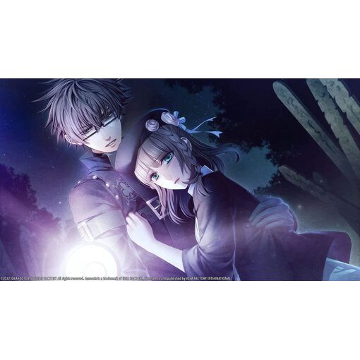 Amnesia Later X Crowd - Switch - 3