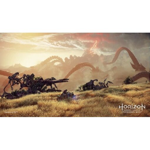 Horizon Forbidden West - Ps4 (Us)