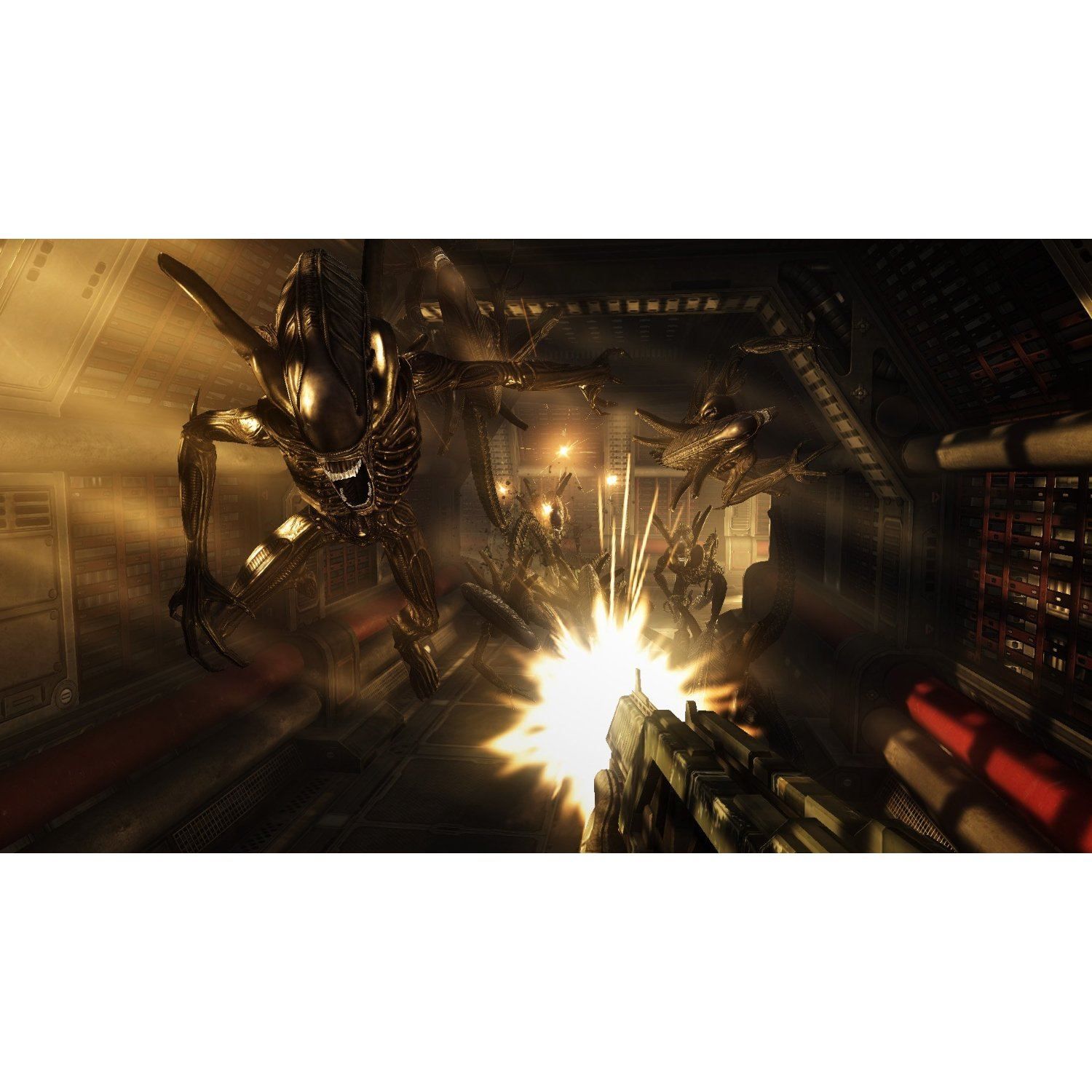 Alien Vs Predator - Import Uk Ps3 - 2