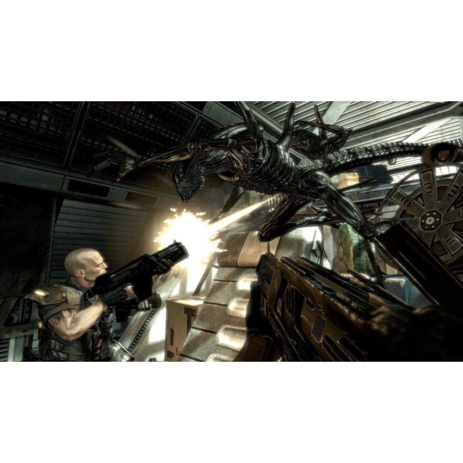 Alien Vs Predator - Import Uk Ps3 - 4
