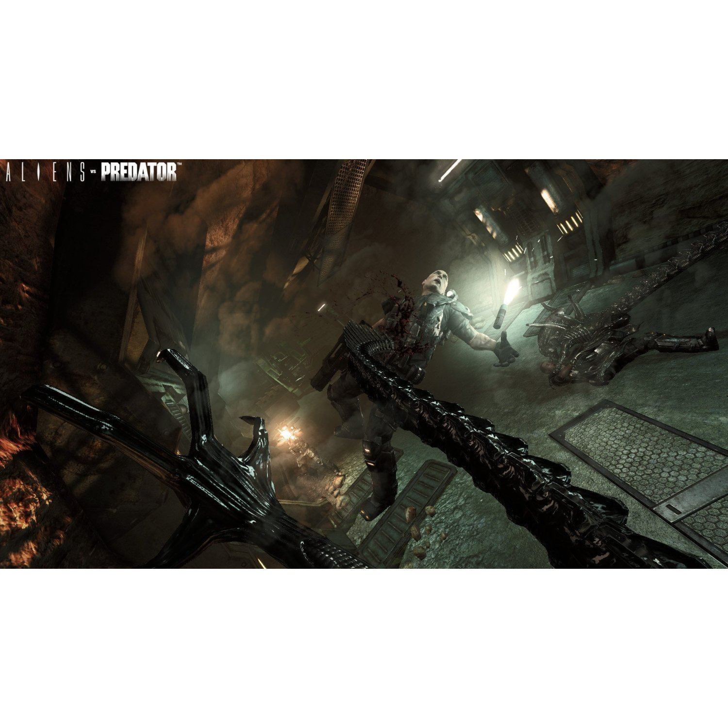 Alien Vs Predator - Import Uk Ps3 - 5