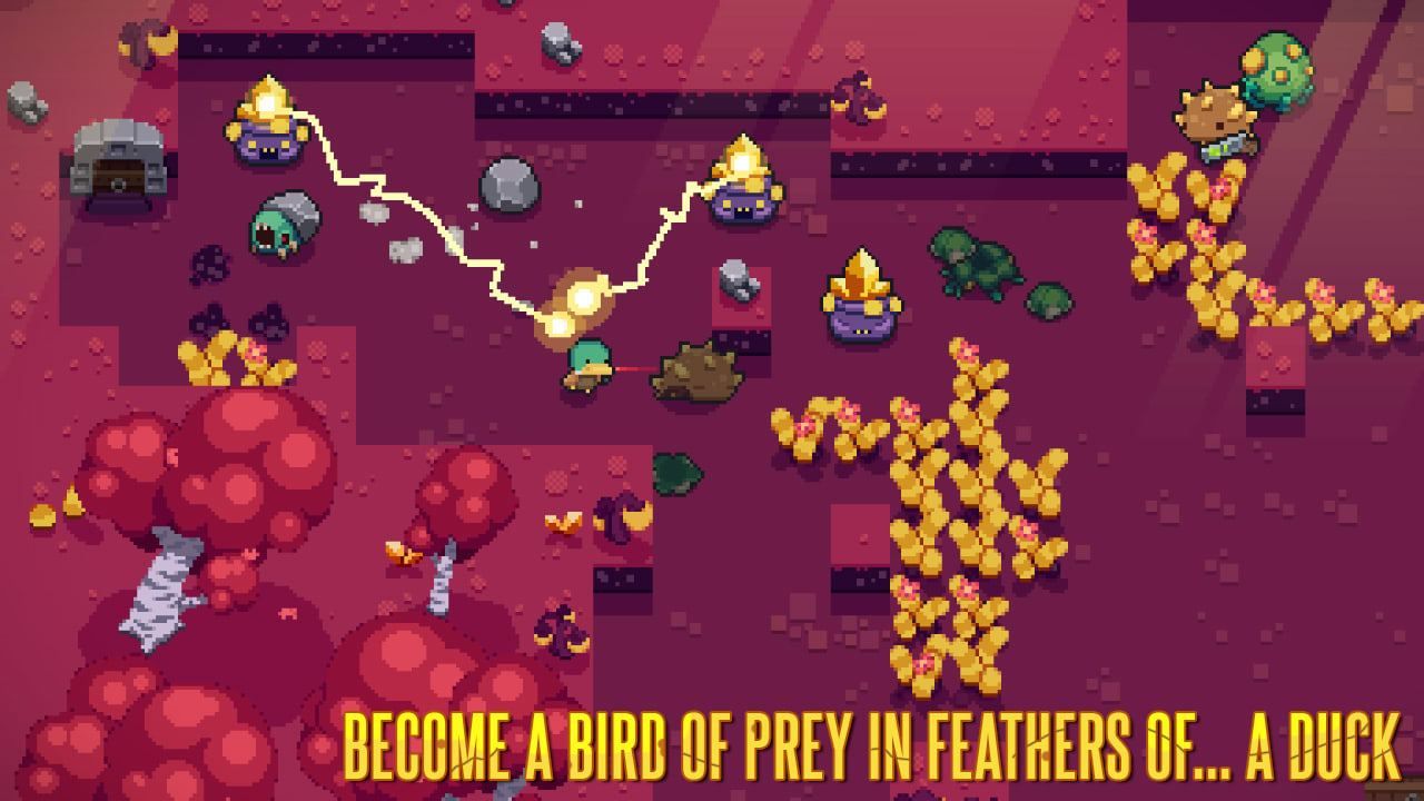 Blazing Beaks Nintendo Switch