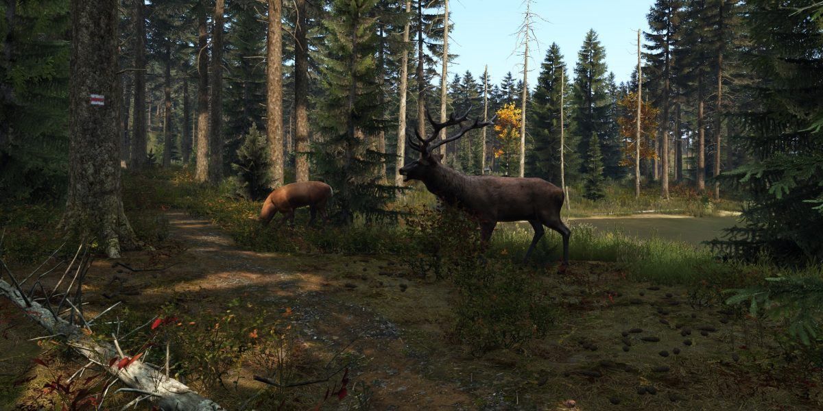 Dayz - Xbox One