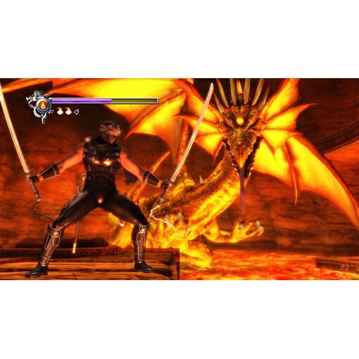 Ninja Gaiden Sigma (Playstation3 The Best) [New Price Versio... - 3