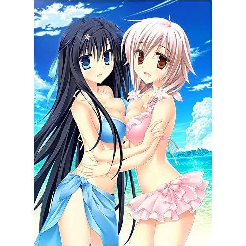 Priministar [Limited Edition] [Import Japonais] Ps Vita