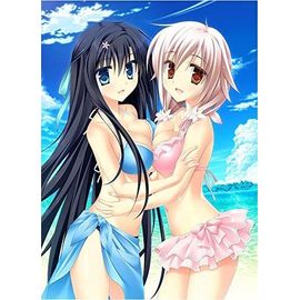 Priministar [Limited Edition] [Import Japonais] Ps Vita