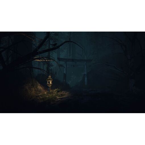 Ikai - Switch (Us)