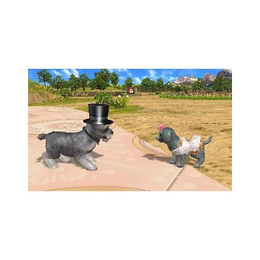 Petz Countryside - 3ds (Us) - 6