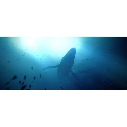 Under The Waves - Ps5 (Us) - 3