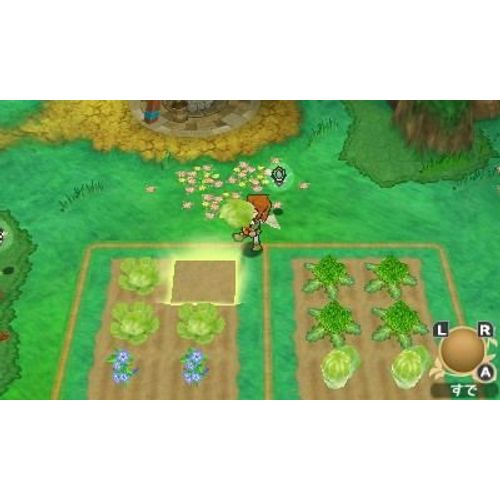 Return to PoPoLoCrois: A Story of Seasons Fairytale 3DS (US