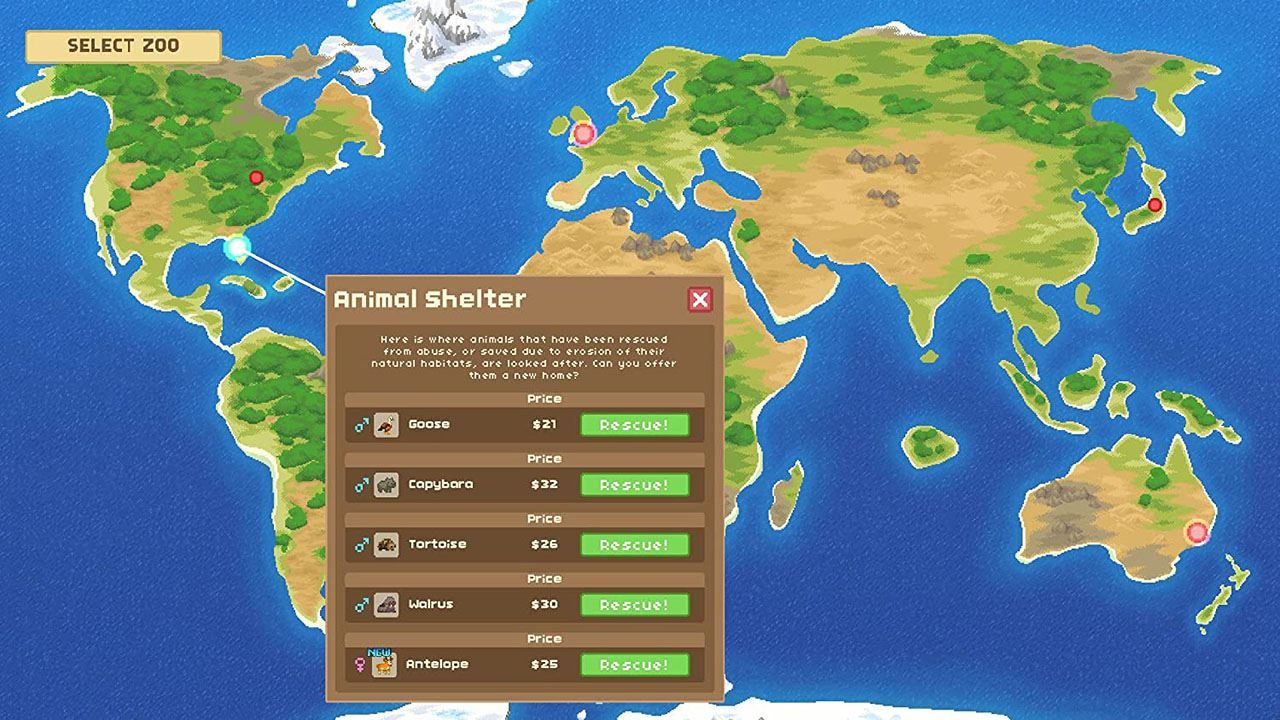 Let's Build A Zoo - Switch (Us) - 4